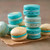 Wilton-Sweet Studio-Blue-French-Macarons-Summer Camp-03.jpg|1