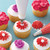 Starter Decorating and Piping Tip Set, 9-Piece