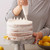 Decorator Preferred Cake Decorating Set, 48-Piece Cake Decorating Tips