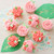 Cake Decorating Tip Set for Drop Flowers, 4-Piece (Tips 225, 129, 109, 190)