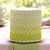 Green-Ombre-Flower-Cake.jpg|1