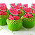 Cheerful Watermelon Cupcakes