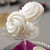 Champagne Meringue Cookies