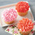 Crazy for Coral Cupcakes