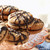 PeBuFe_42999 2.jpg|1
