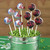 football-cake-pops.jpg|1