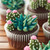 Beautiful Blooming Succulent Cupcakes