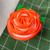 Wilton-Fab Everyday-Floral Cupcake Bouquet-2025-05.jpg|3