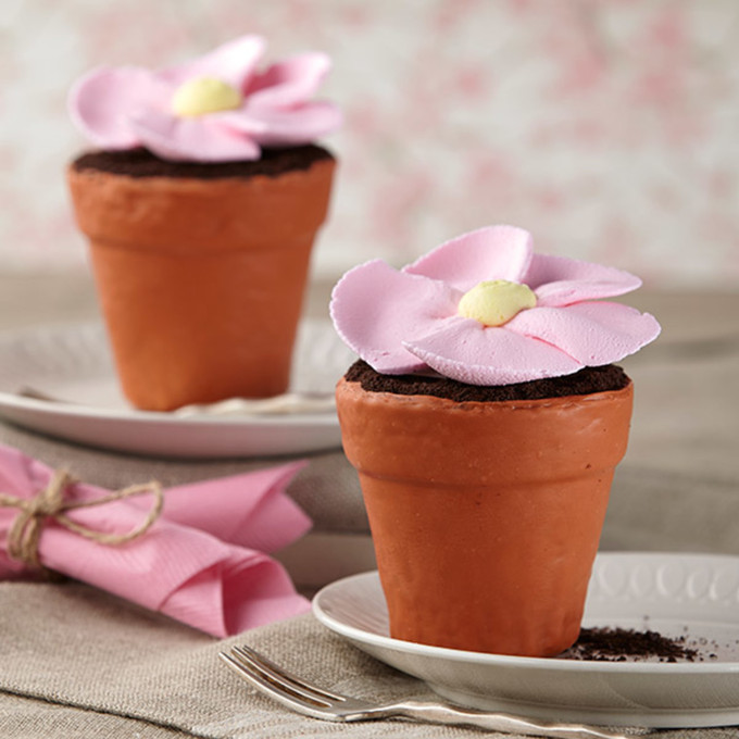 Big Blossom Mini Flower Pot Cakes