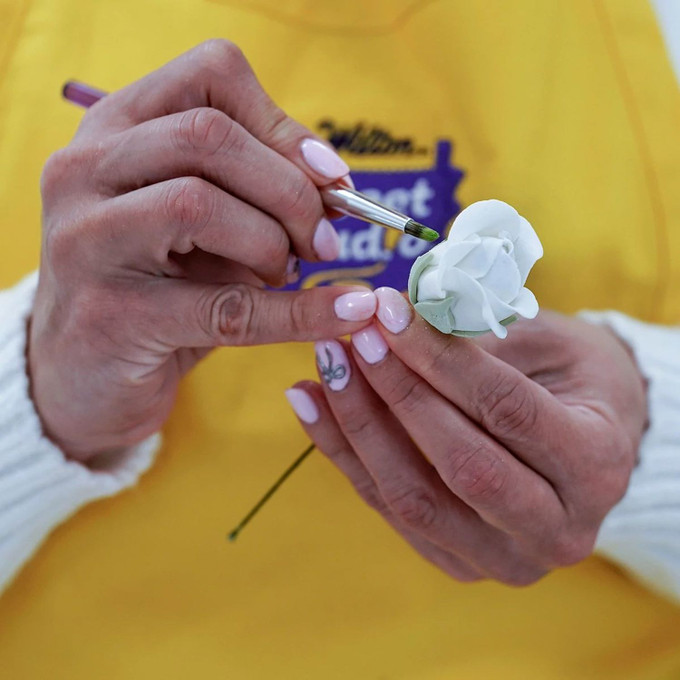 Master Gum Paste