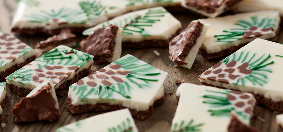 15 Easy & Delicious No Bake Christmas Treats