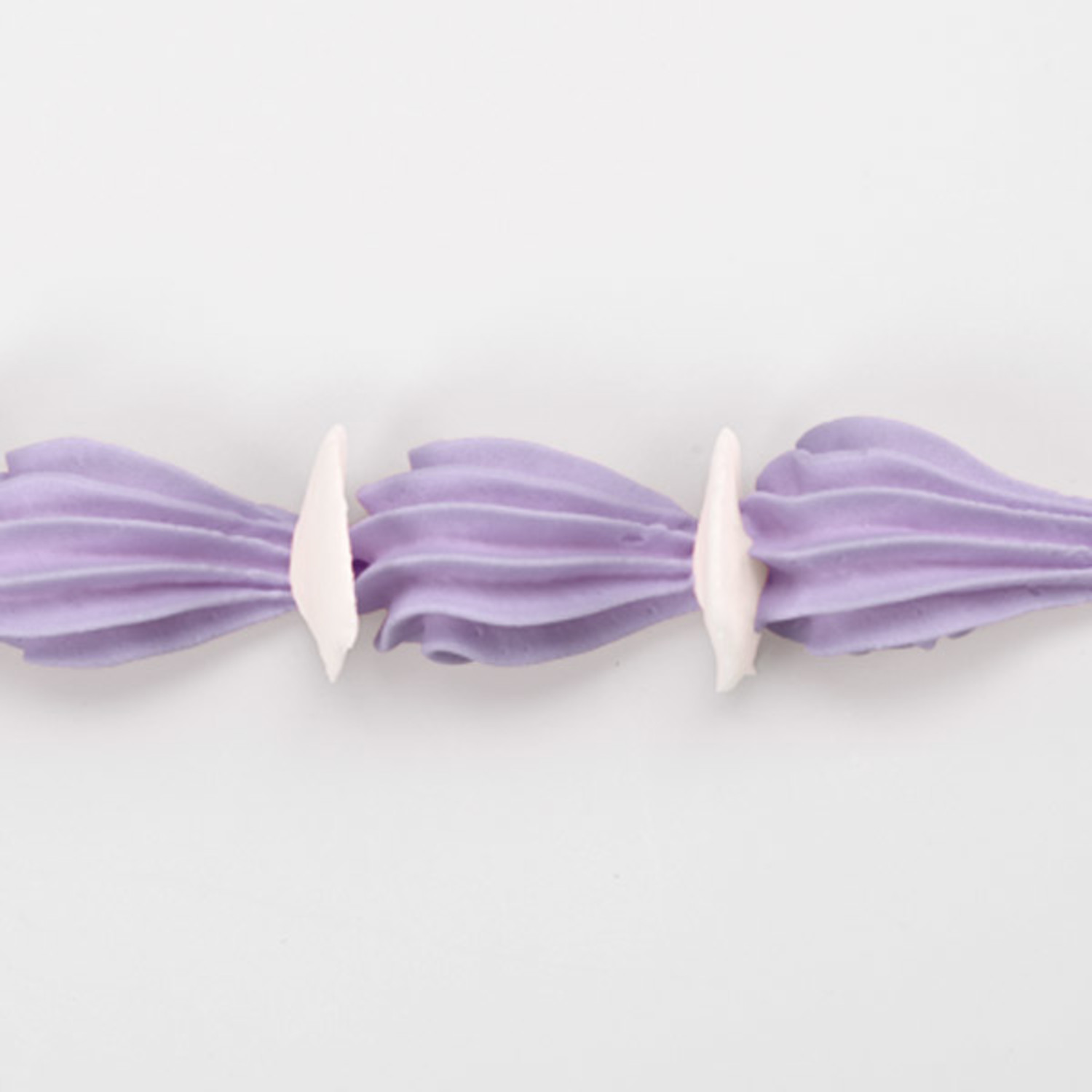 shell-border-with-flute-Main.jpg|1