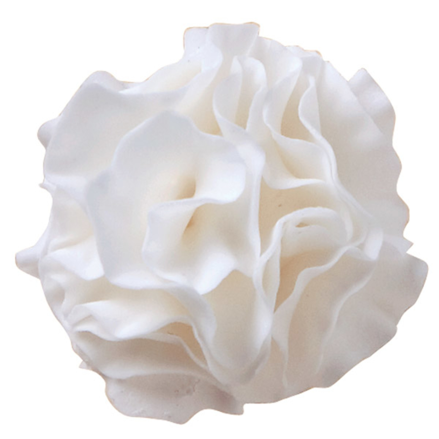 Gum Paste Carnation