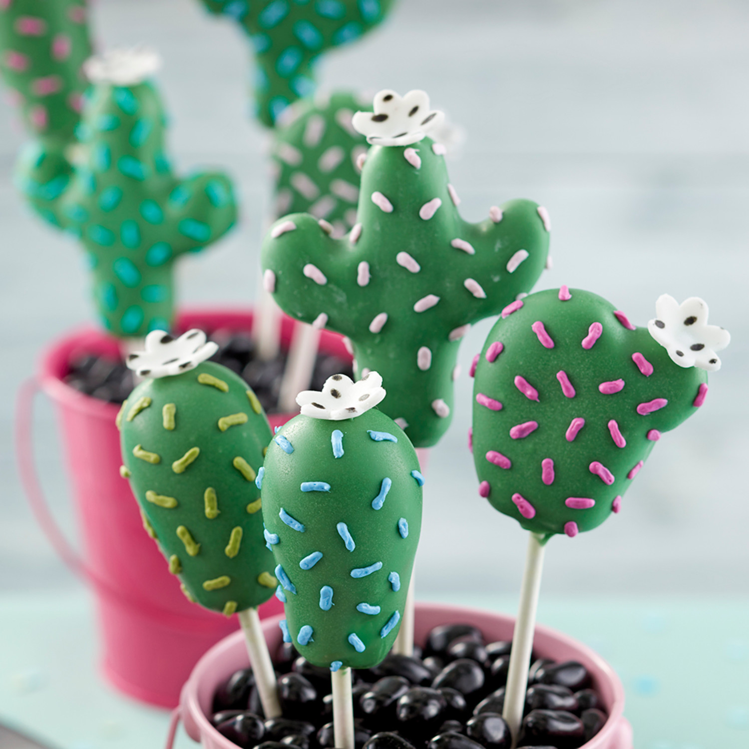 Sprinkled Succulent Cake Pops