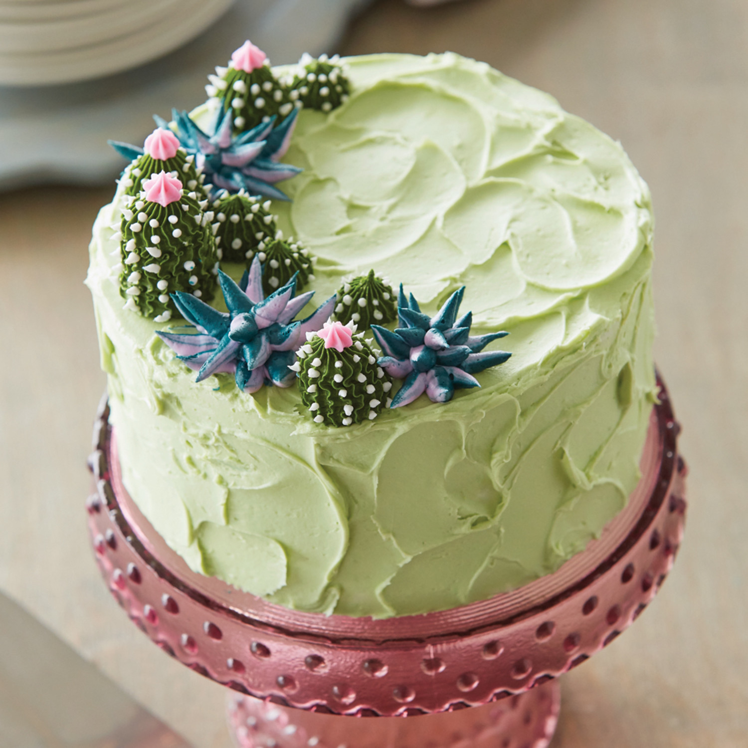Dessert Oasis Succulent Cake