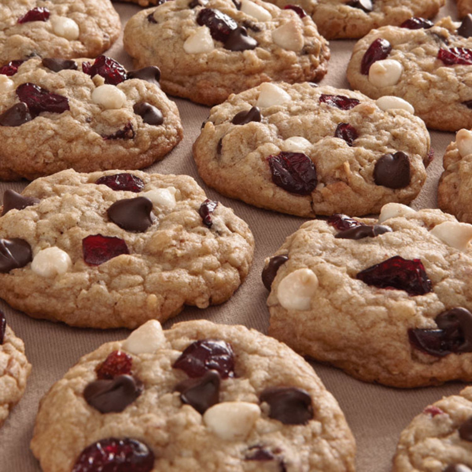 Double Chocolate Cranberry Cookies