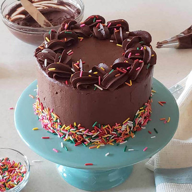 Easy Naked Chocolate Cake - Vibrant plate