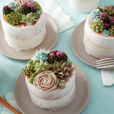 How to Make Mini Succulent Cakes - Haniela's | Recipes, Cookie & Cake  Decorating Tutorials