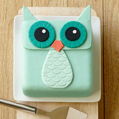 Owl Cake Recipe | Lakeland Inspiration