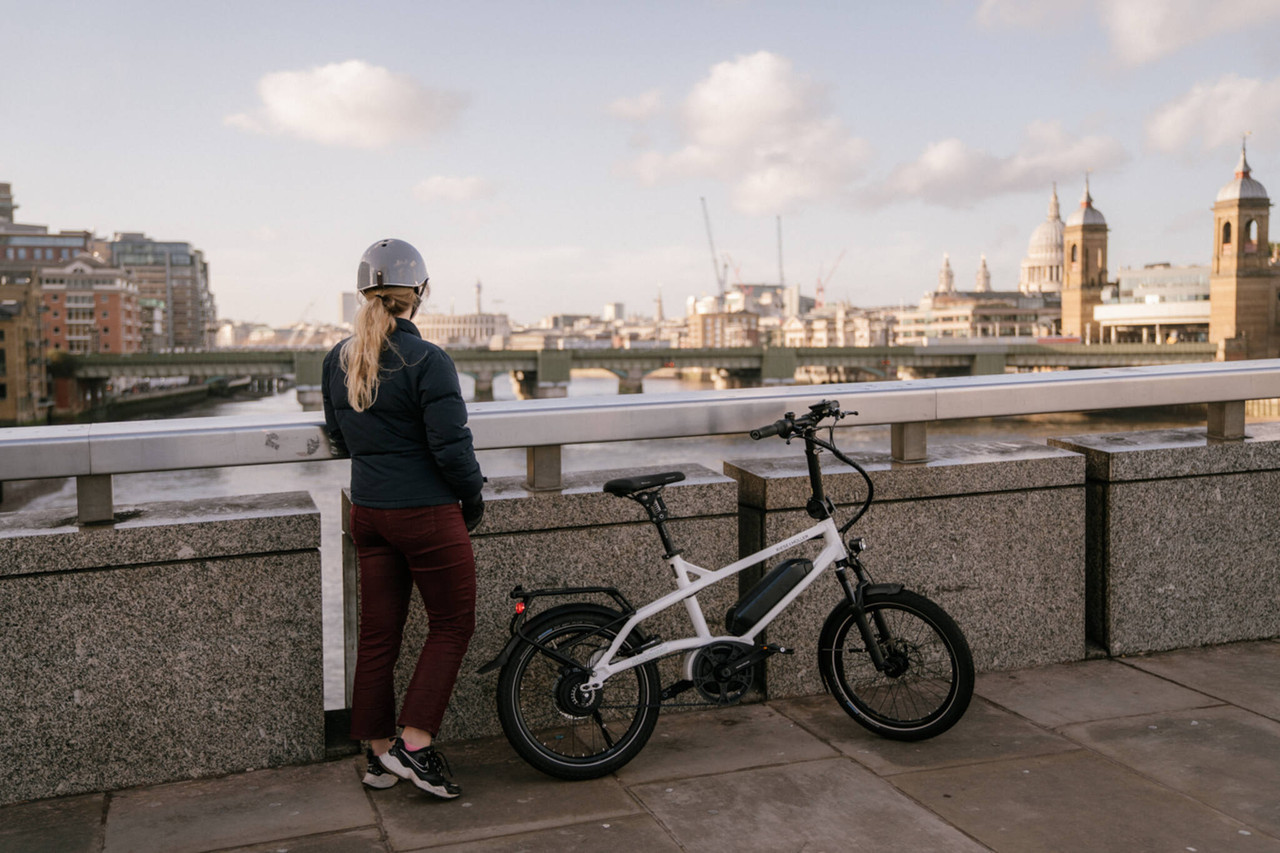 Riese & Müller Tinker2 Vario Electric Bike