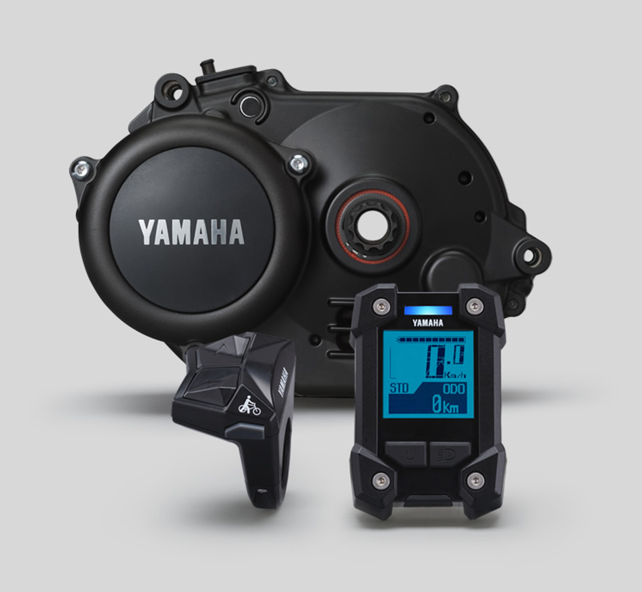 Yamaha shop pw system