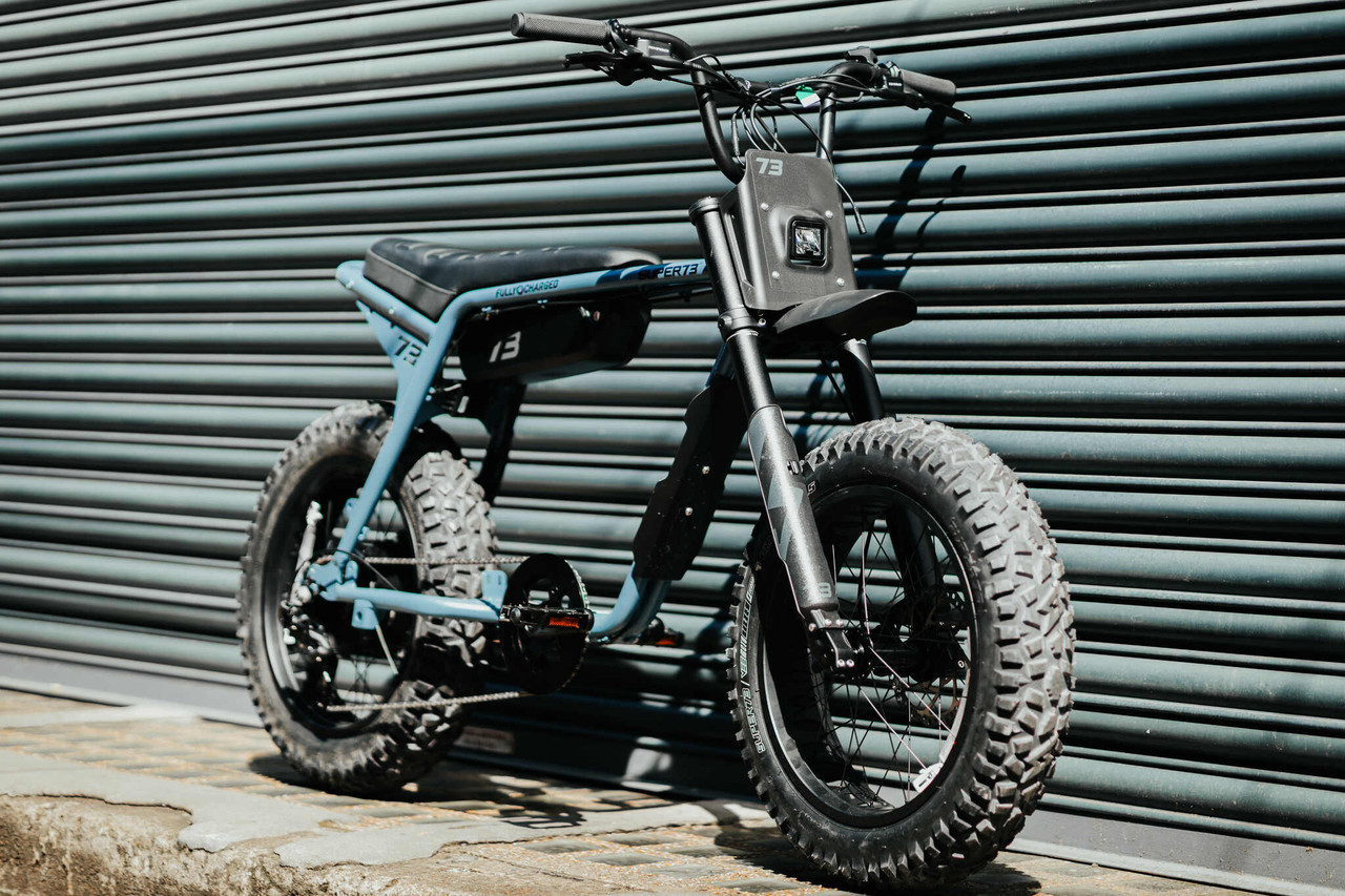 Super73 Type Bikes SUPER 73 ZX 250 Watts EBike