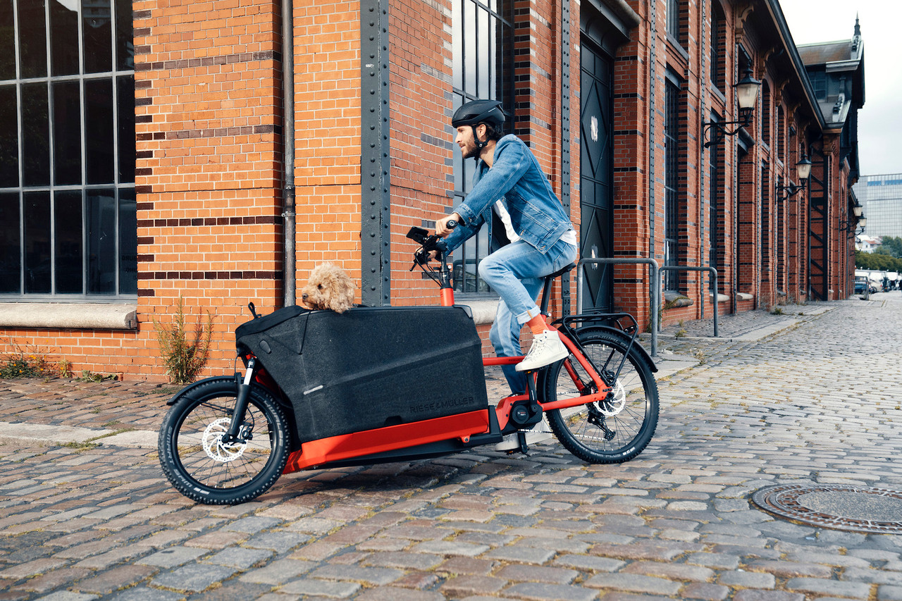 Riese & Muller eBikes 2019 - What's New?