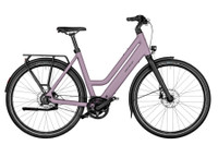 Riese & Müller Culture Mixte Vario Electric Bike Riese & Müller Culture Mixte Vario Electric Bike