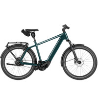 Riese & Müller Charger5 Vario Electric Bike 