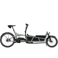 Riese & Müller Load5 75 Rohloff Electric Bike 