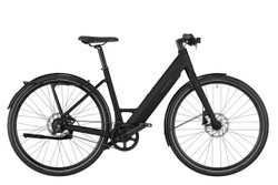 Riese & Müller UBN Six 1