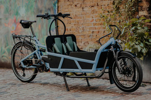Riese & Müller Load 75 Review: The Cargo Bike That Replaced the Family Car