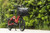 Tern Duo Stand Electric Bike 