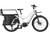 Riese & Müller Multicharger Mixte GT Family Electric Bike 