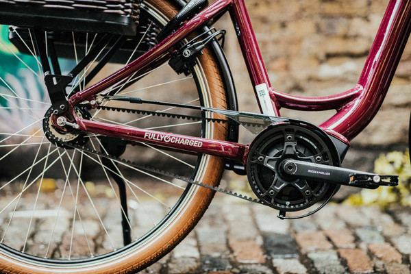 Riese & Müller Swing4 (Nearly New) 3