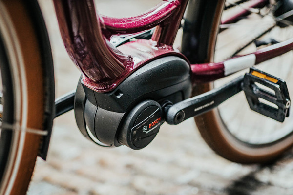 Riese & Müller Swing4 (Nearly New) 5