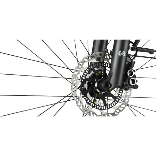 Riese & Müller Load5 75 Rohloff 10