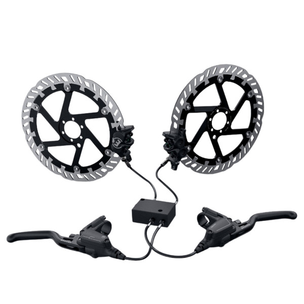 Riese & Müller Load5 60 Vario 16