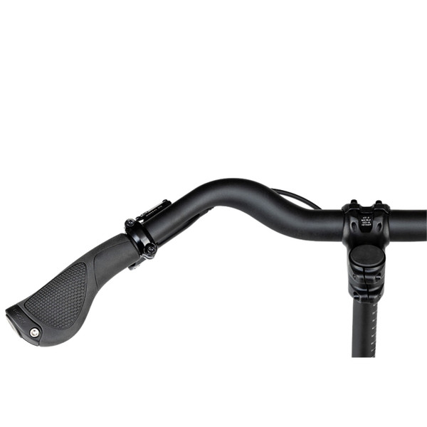 Riese & Müller Multitinker2 Vario 16