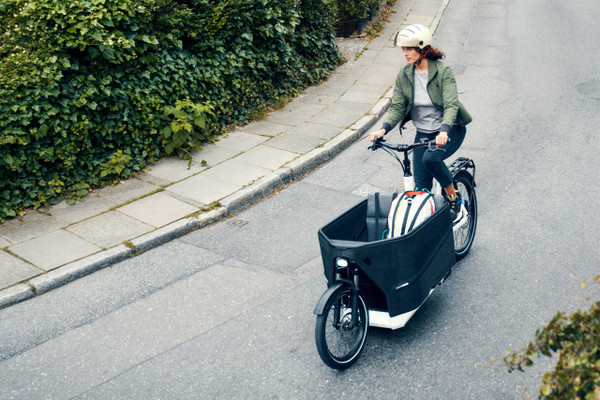 Riese & Müller Packster2 70 3