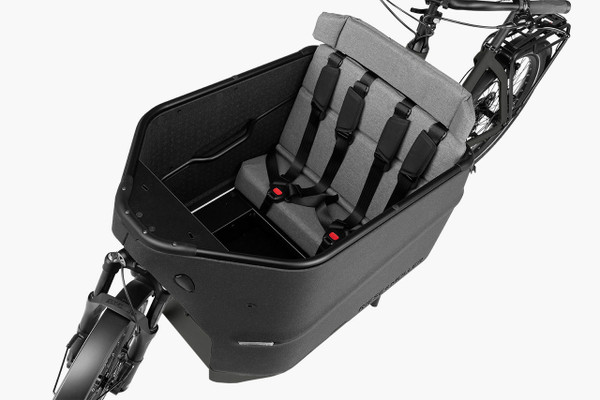Riese & Müller Packster2 70 5
