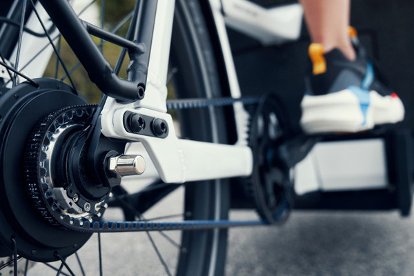 Riese & Müller Packster2 70 2