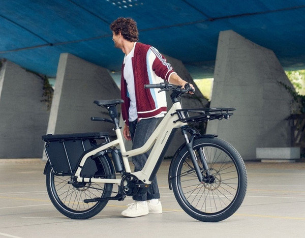 Riese & Müller Multicharger3 Mixte Vario 2