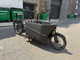 Riese & Müller Packster 70 Family (Pre-Owned) Electric Bike 