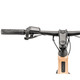 Moustache Dimanche 29.2 EQ 2025 Electric Bike 
