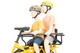 Sidekick Seat Belt Electric Bike 