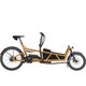 Riese & Müller Load5 60 Rohloff Electric Bike 