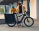 Riese & Müller Multicharger3 Vario Electric Bike 