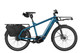 Riese & Müller Multicharger3 Rohloff Electric Bike 