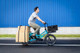 Tern Batten Straps Electric Bike 